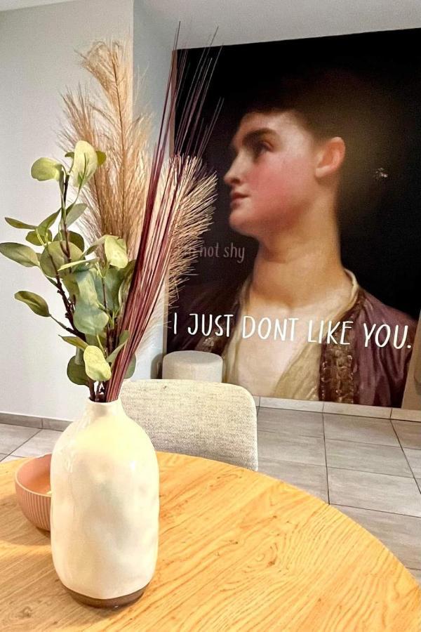 Les Demoiselles De La Tour ! Daire Carcassonne Dış mekan fotoğraf